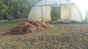 fumier tas serre automne preparation jardin